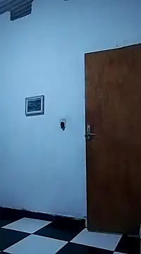 bundaouro online show from March 2025 04:26:02 AM