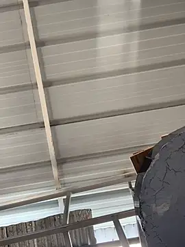 Snapshot of ThomasSAS chatting on March 2026 04:58:02 PM ThomasSAS online show from March 2026 04:58:02 PM