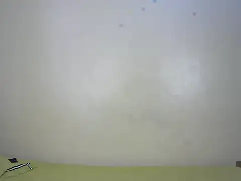 StarBarbiee online show from November 2025 10:08:02 AM