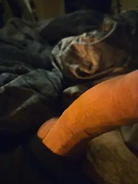 ruffuuss online show from April 2026 06:31:01 AM