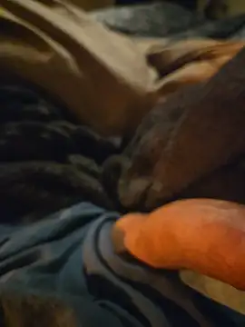 Snapshot of ruffuuss chatting on January 2026 08:09:01 AM ruffuuss online show from January 2026 08:09:01 AM