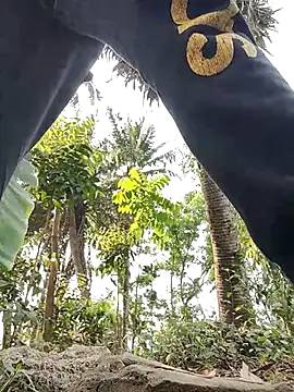 rayhan085 online show from March 2025 08:23:02 AM