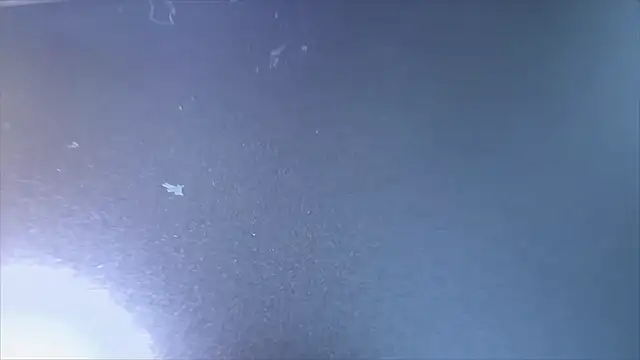 MyPhoenix online show from April 2026 06:52:02 AM