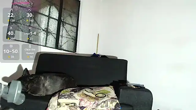 willian m777 online show from February 2026 04:52:01 AM