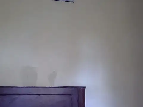 Sexy racy rebel  online show from May 2026 11:40:02 AM