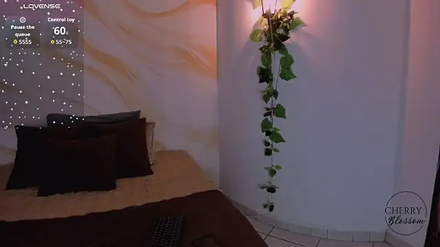 CherryBlossomm  online show from December 2025 01:06:02 AM