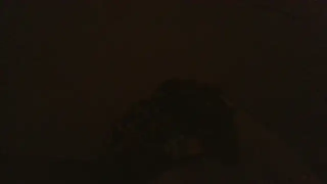 iaradias online show from December 2025 12:18:02 PM