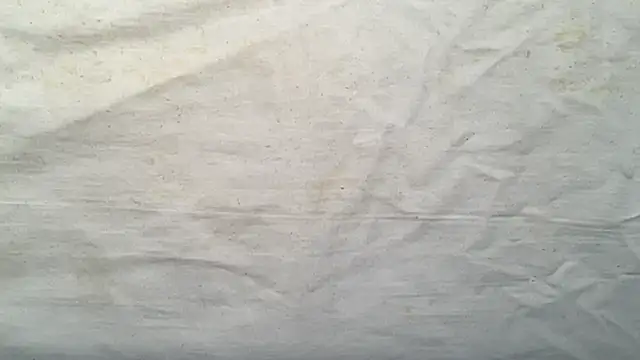 beforeyou69 online show from November 2025 08:07:02 AM