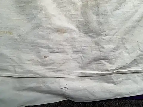 beforeyou69 online show from January 2025 01:42:01 PM