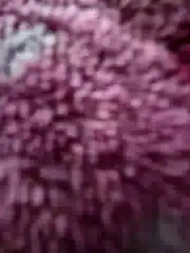 katymojadit online show from February 2026 12:59:02 PM