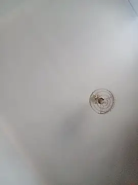 katymojadit online show from January 2025 03:28:02 PM