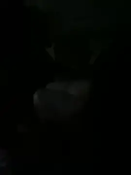 kidnovo online show from February 2026 02:24:02 AM