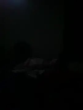 kidnovo online show from August 2026 02:29:01 AM