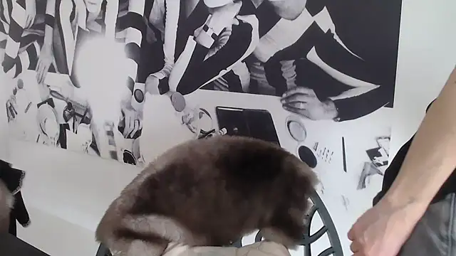 godinflower online show from February 2026 02:19:02 PM