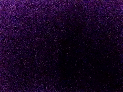 happy sonia online show from December 2025 11:56:02 AM