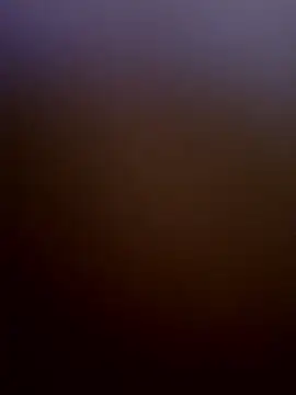 bigdickturk11 online show from December 2024 11:51:02 PM
