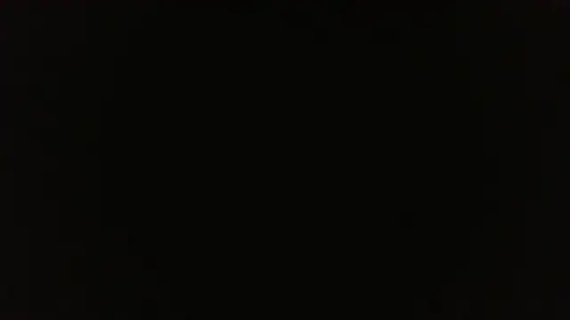 thicky dicky n online show from June 2026 08:41:02 AM