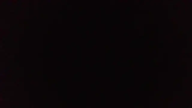 thicky dicky n online show from May 2026 08:34:01 AM