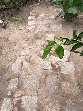 king cum  online show from February 2026 02:24:02 PM