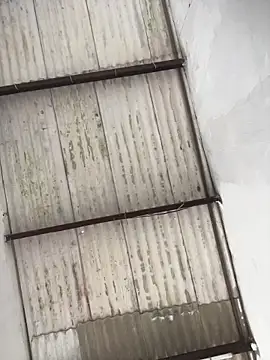 king cum  online show from February 2026 04:48:01 PM