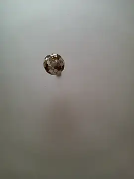 Snapshot of JulianJ50 chatting on November 2025 02:32:01 PM JulianJ50 online show from November 2025 02:32:01 PM