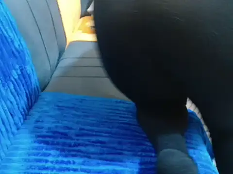 leslysexygirl online show from February 2026 05:28:02 AM