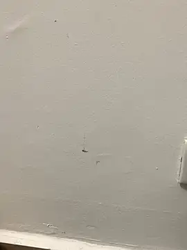 zeck80 online show from December 2025 12:03:02 AM