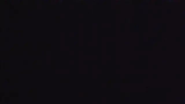 Policeman20742 online show from December 2024 05:48:01 PM