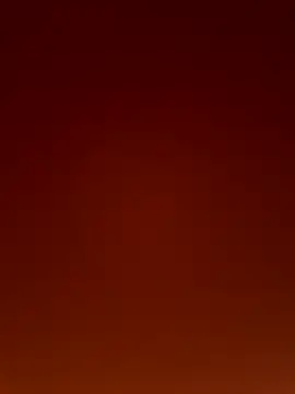 Wild wifey online show from December 2025 05:14:01 PM