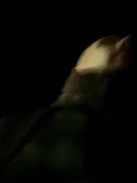 Schabernack1990 online show from March 2026 02:51:01 AM