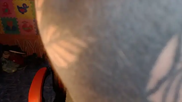 dannafitness online show from March 2026 08:04:01 PM