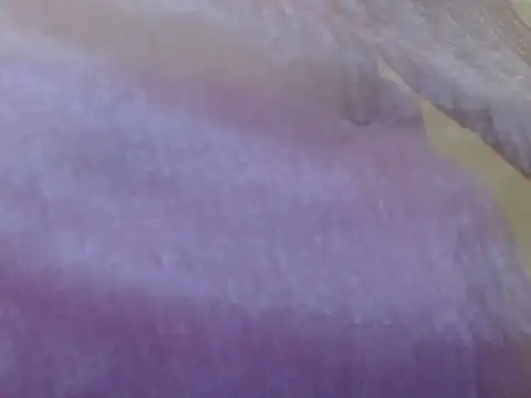 LOVERIAKOL online show from March 2026 10:22:02 AM