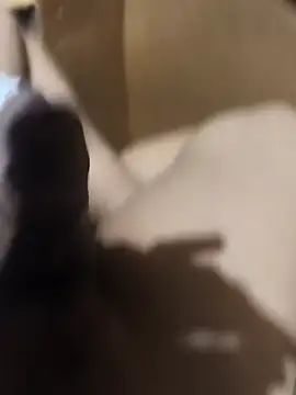 BustedKeeping online show from April 2026 12:39:01 PM