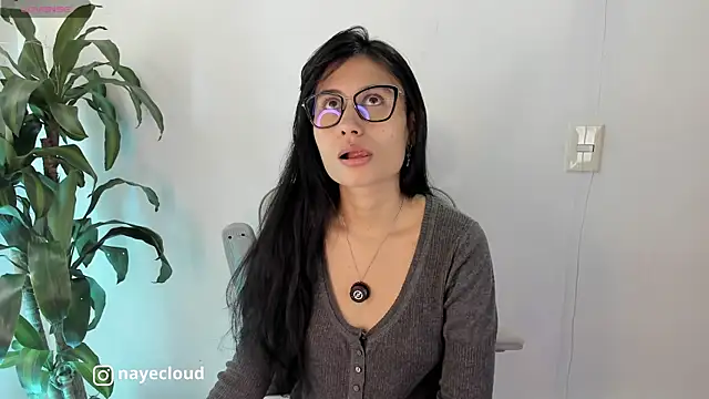Snapshot of NayeCloud chatting on May 2026 02:58:01 PM NayeCloud online show from May 2026 02:58:01 PM