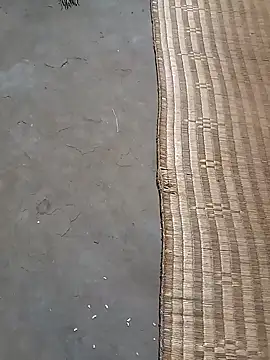 hairipussy2 online show from February 2025 01:21:02 PM