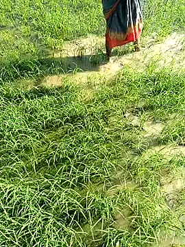 hairipussy2 online show from February 2025 03:55:02 AM