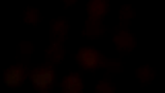 Snapshot of leatherz69 chatting on February 2025 07:19:01 AM leatherz69 online show from February 2025 07:19:01 AM