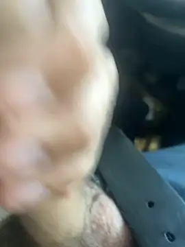 Snapshot of Leoartavia chatting on February 2025 07:53:02 PM Leoartavia online show from February 2025 07:53:02 PM