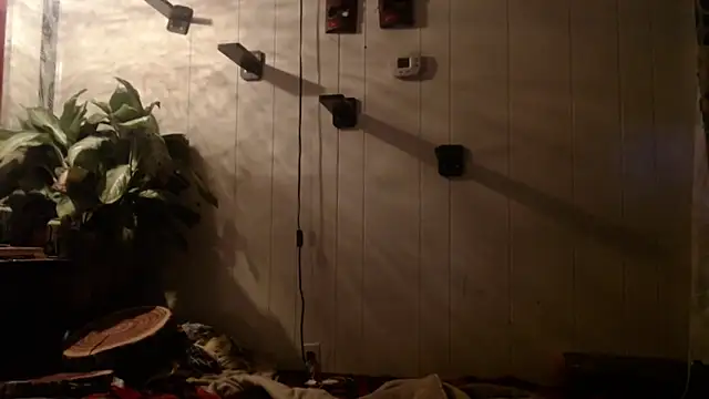 UnCuTupTheBuTT online show from November 2025 09:25:01 AM