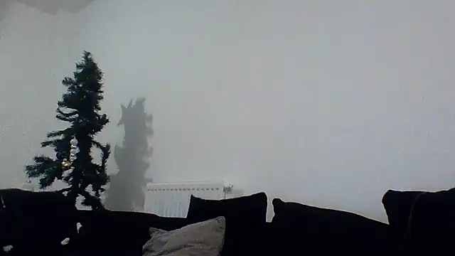 Cinderella Jewels  online show from December 2025 02:01:01 AM