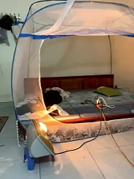 PussyWet  online show from November 2025 04:39:01 AM