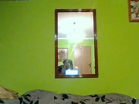 Snapshot of Tiger202441 chatting on January 2026 08:25:02 PM Tiger202441 online show from January 2026 08:25:02 PM