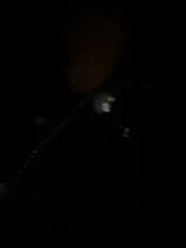 Asia-Melody online show from March 2025 12:25:01 PM