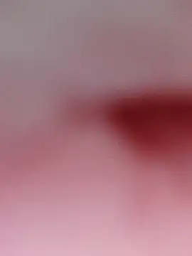 NORAMY online show from May 2026 07:22:02 PM