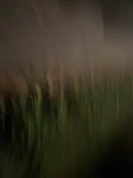 esteraulxxx online show from December 2025 06:12:02 AM