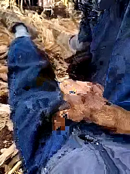 murokkk31 online show from December 2025 08:35:01 AM