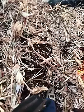 murokkk31 online show from November 2025 04:02:02 AM