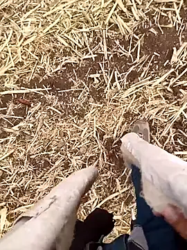 murokkk31 online show from October 2025 04:56:02 AM