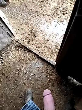 murokkk31 online show from January 2026 07:26:01 AM