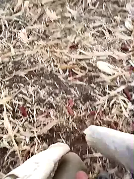 murokkk31 online show from September 2025 02:56:01 AM